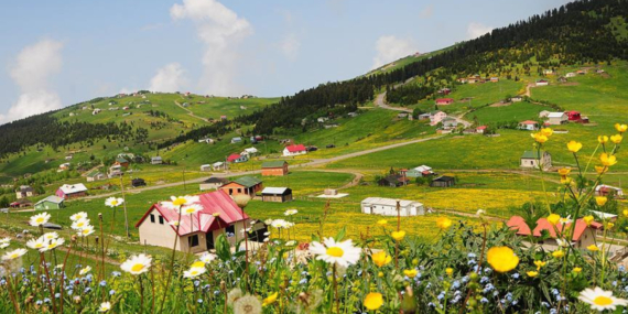 Yaylalara Dikkat: Akciğer Hastaları İçin Risk!