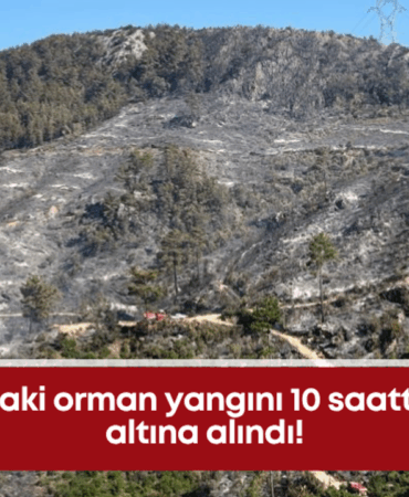 alanyadaki-orman-yangini-10-saatte-kontrol-altina-alindi.png