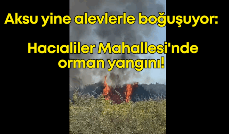 duygu-tekin-17.png