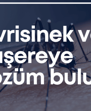 sivrisinek-sorunu-tasarim.png