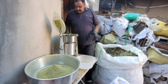 Zetrin Baharatı: Gelenekten Gelen Şifa Kaynağı