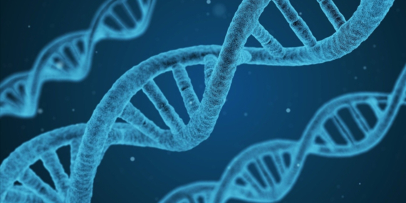 Genetik Miras: Hangi Özellikler Kime Geçer?