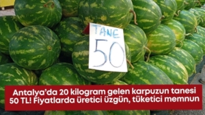 antalyada-20-kilogram-gelen-karpuzun-tanesi-50-tl-fiyatlarda-uretici-uzgun-tuketici-memnun.jpg