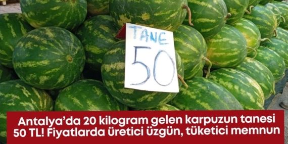Antalya’da Karpuz Fiyatları Çiftçiyi Üzüyor!