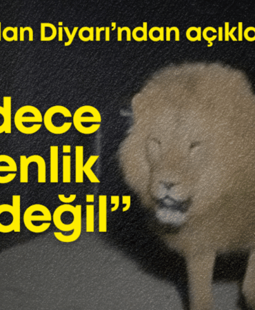 aslan-diyari-tasarim.png