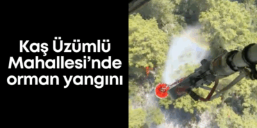 aysem-sicim-2-18.png