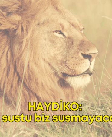h-a-y-d-i-k-o-tasarim.png