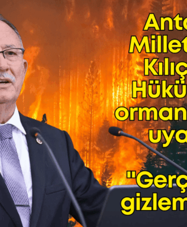 kilic-orman-yangini.png