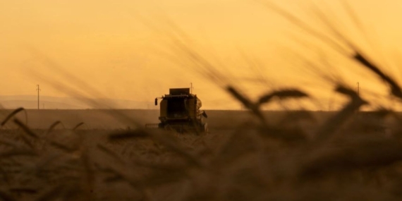 Mayıs Ayında Tarımsal Girdi Fiyatları Yükseldi!