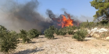 orman-yangini-mersin-silifke-2.jpg