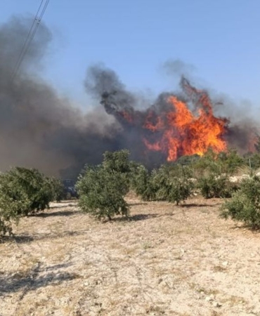 orman-yangini-mersin-silifke-2.jpg
