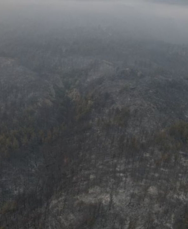 sakarya-orman-yangini.jpg