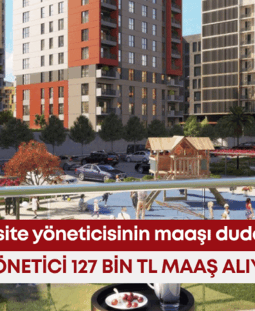 site-yoneticisi-tasarim.png