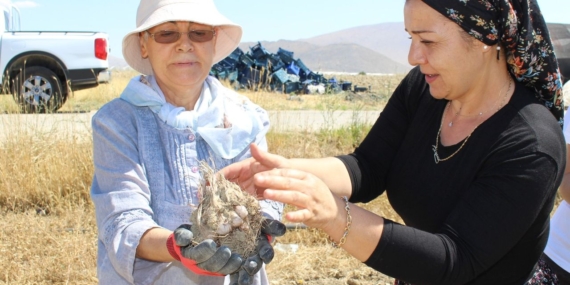 Elmalı’da Safran Üretimi Kadınlara Ekonomik Destek