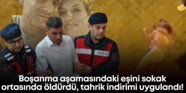 vedat-nese-gulmus-1.jpg