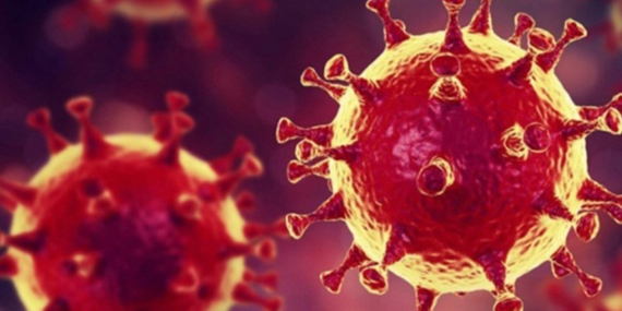 Frankenstein Varyantı: Belirtiler ve Tehdit