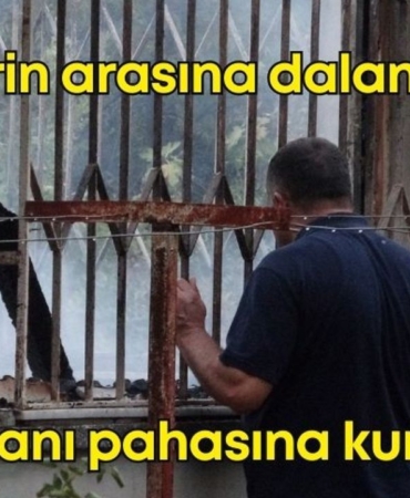 kizini-kurtaran-baba-tasarim.jpg