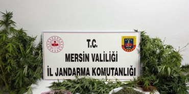 uyusturucuyu-saksilara-ekip-evinin-cevresine-yerlestirmis-1.jpg
