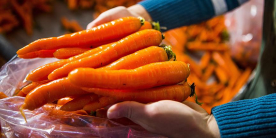 Havucun Faydaları: Sağlıklı Yaşamın Anahtarı!