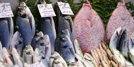 Kasım’da Sofraları Şenlendiren Balık Lezzetleri