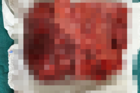 68e76a8052d29445.jpg