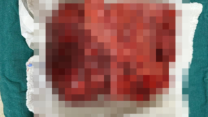 68e76a8052d29445.jpg
