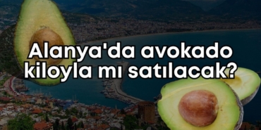alanyada-avokado-kiloyla-mi-satilacak.jpg