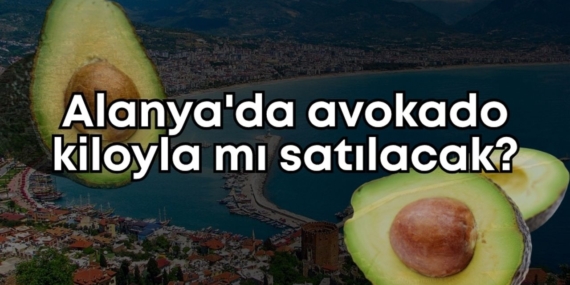 alanyada-avokado-kiloyla-mi-satilacak.jpg