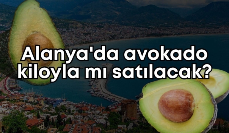 alanyada-avokado-kiloyla-mi-satilacak.jpg