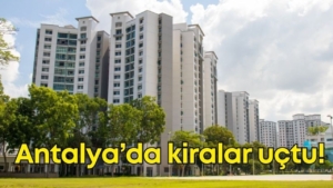 antalya-kiralari-tasarim.jpg