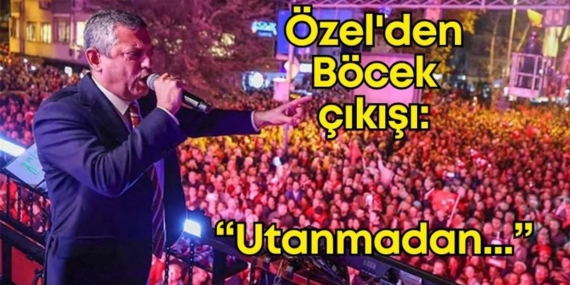 ozel-bocek-cikisi-tasarim.jpg