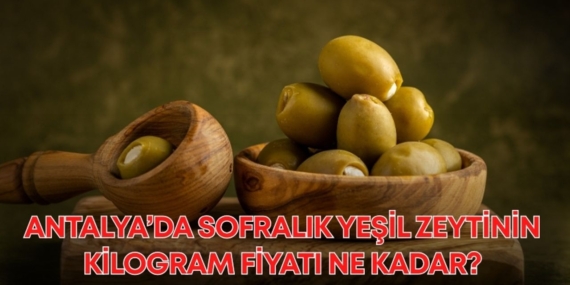 Antalya’da Yeşil Zeytin Fiyatları Uçuşa Geçti!