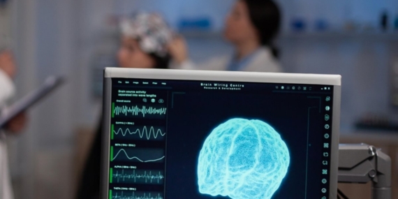 Beyin Gelişimi: 9’dan 83’e Dönüm Noktaları