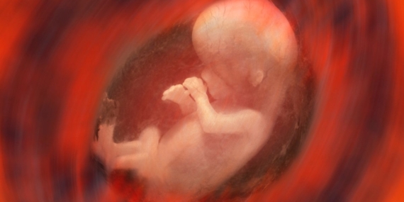 Yumurtanın Gizli Yolculuğu: Gebelik İçin Hazırlık