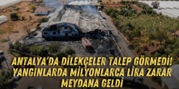 antalyada-dilekceler-talep-gormedi-yanginlarda-milyonlarca-lira-zarar-meydana-geldi.png