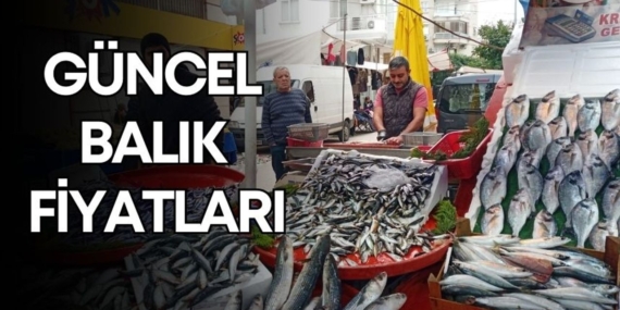 Antalya’da Balık Fiyatları Düşerken İlgi Artıyor!