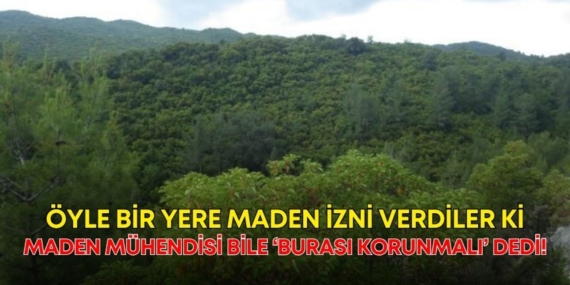 gokceyazi-manset.jpg