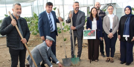 Kumluca’da Kahve Fidanı Dikimi Başladı!