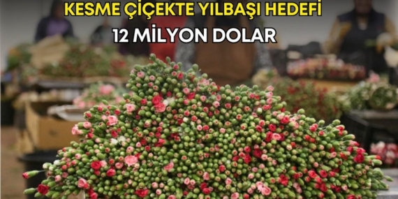Yılbaşı Çiçek İhracatında 12 Milyon Dolar Beklentisi