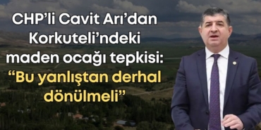 vildan-ozkan-2025-11-02t171252003.jpg