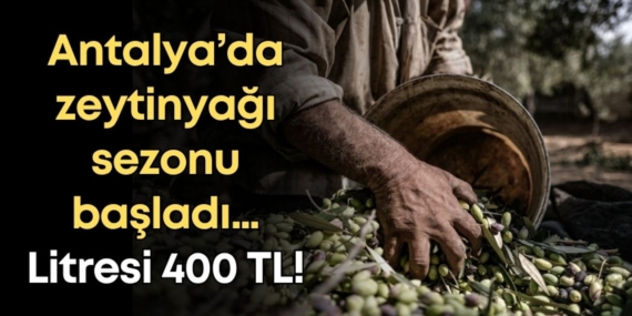 Sahte Zeytinyağına Dikkat! Sağlığınızı Tehdit Ediyor