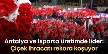 vildan-ozkan-2025-11-25t115403633.jpg