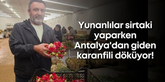 yunanlilar-sirtaki-yaparken-antalyadan-giden-karanfili-dokuyor.jpg