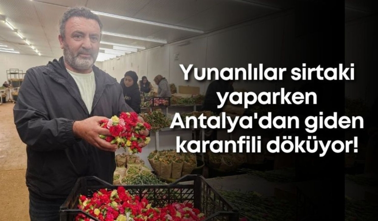 yunanlilar-sirtaki-yaparken-antalyadan-giden-karanfili-dokuyor.jpg