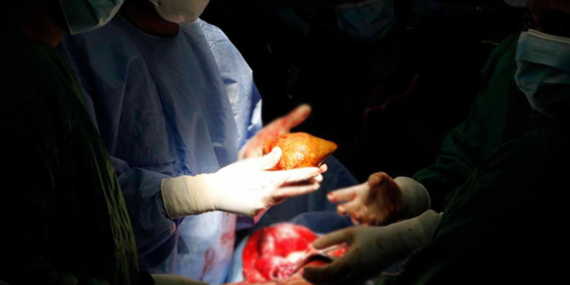 Kuduz Gizemi: Ohio’da Ameliyat Sonrası Ölüm