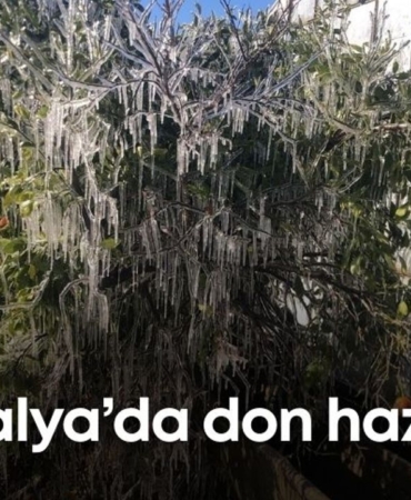 antalya-don-hazirligi.jpg
