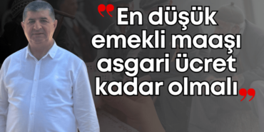 cavit-ari-emekliller.png