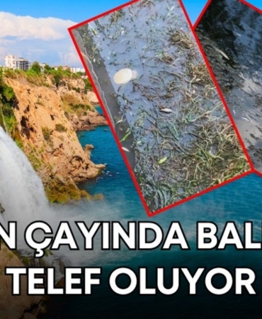 duden-selalesi-balik-olumleri-manset.jpg