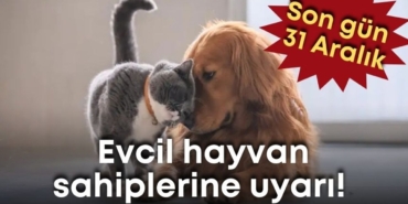 evcil-hayvan-sahiplerine-uyari.jpg