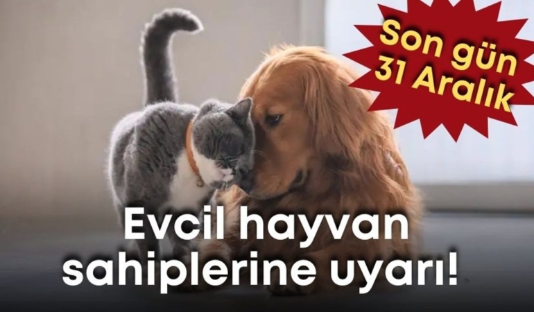 evcil-hayvan-sahiplerine-uyari.jpg